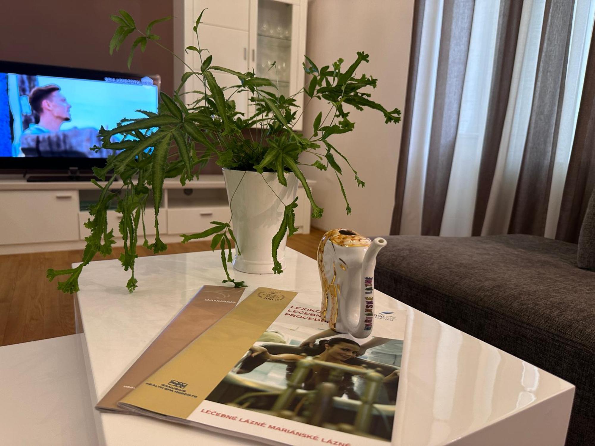 Appartement Marienbad Center Extérieur photo